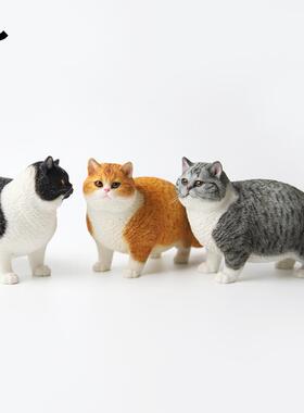 肥猫模型 彷真狸花猫咪玩偶公仔模型橘猫桌面摆件小饰品礼物