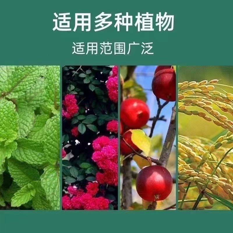 土壤活化剂花肥矿源黄复合土壤活化宝花肥花卉腐殖酸钾枯草芽孢菌-图3