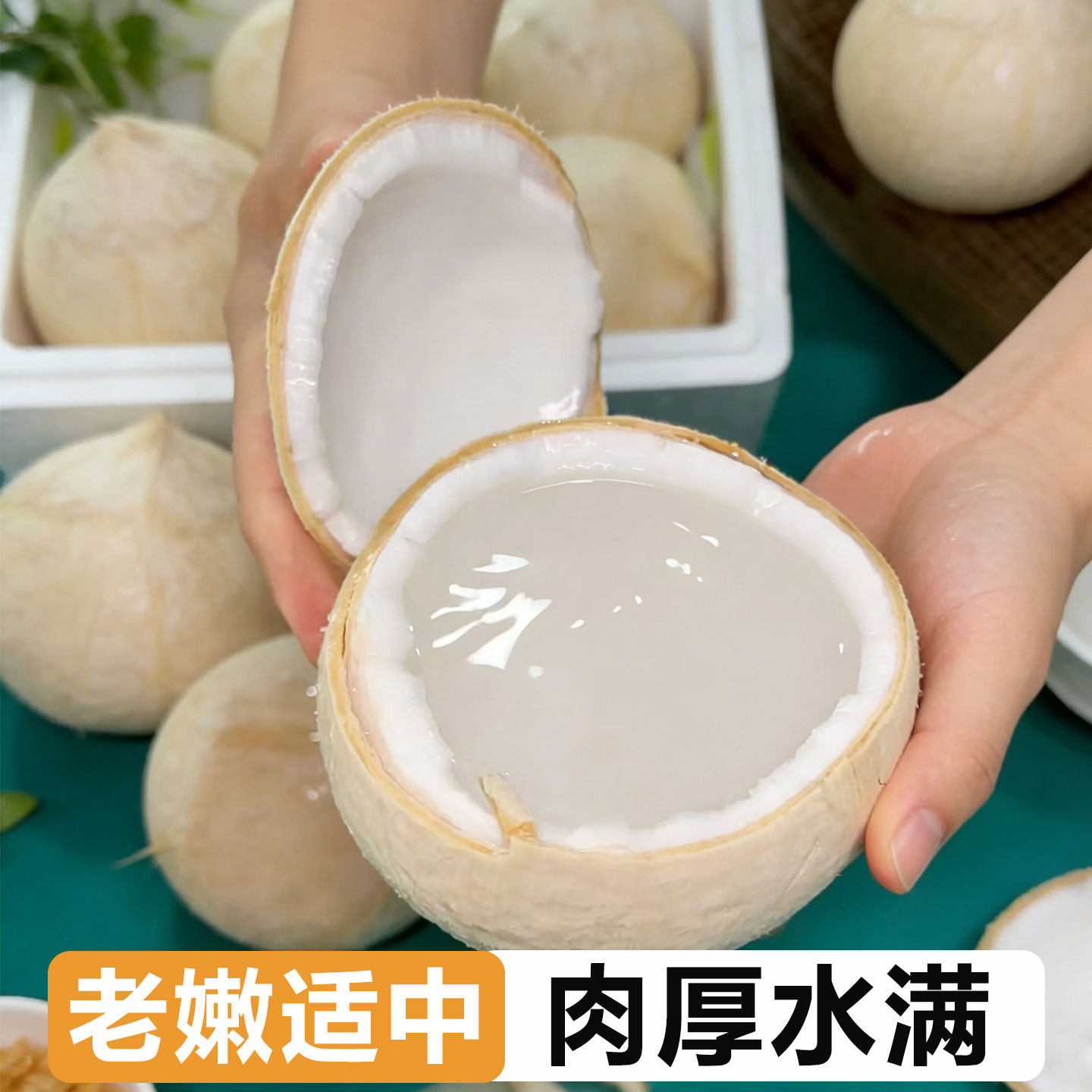 海南三亚牛奶椰皇大果新鲜现摘孕妇水果椰子蛋奶香水白椰青爽口感,淘宝优惠券,粉丝福利购,淘宝优惠卷