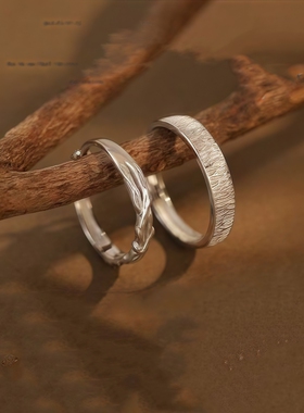 木与枝情侣戒指女男一对2025小众