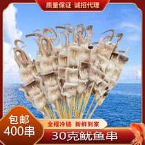 Iron Plate Squid 30 gr Squid Bully King Strings Iron Plate Barbecue Fried Commercial Semi-finished Products Frozen ingredients 400