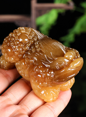 天然和田玉糖料金蟾手把件新疆玉器招财三足金蟾把玩件小摆件