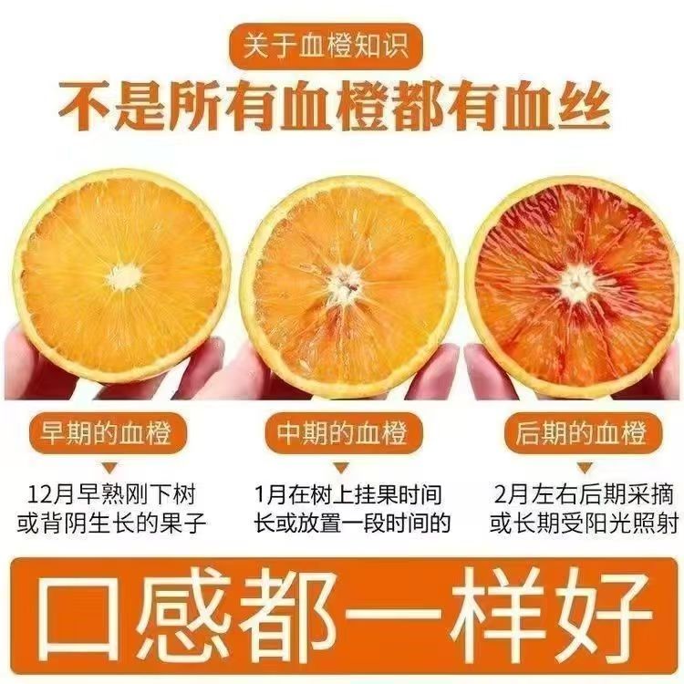 Blood oranges freshly picked in season, authentic longevity lake taroko 10 pounds super sweet hand peeled red heart snow navel jelly oranges