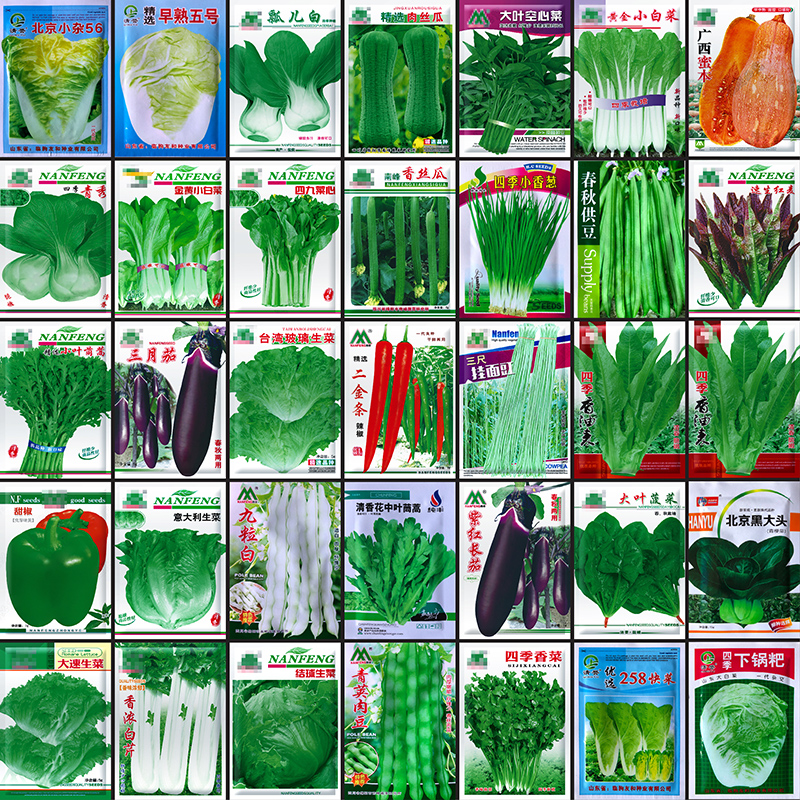 适合四季春天盆栽阳台种的菜各种葱蔬菜瓜种子生菜香菜种籽孑大全-图1