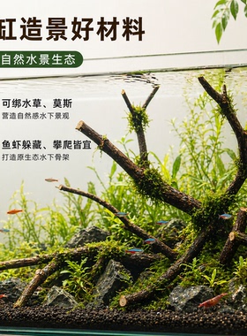 幼儿园环创森系干枝分叉