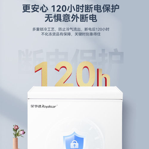 荣事达节能小冰柜家用无霜商用全冷冻冷藏转换两用柜小型冷柜省电 - 图1