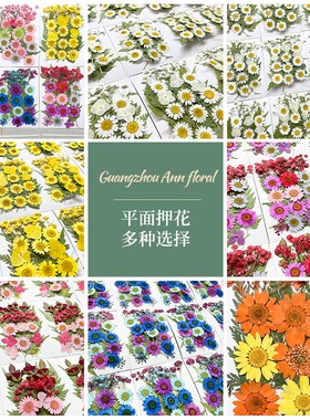 干花植物标本diy手工树叶混合