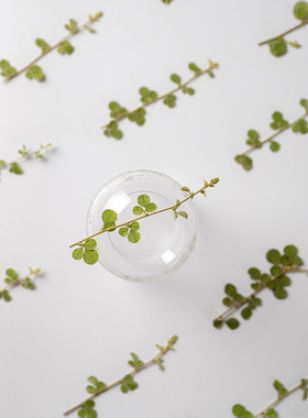干花diy书签蜡烛手机壳植物标本