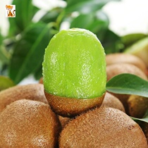 Shaanxi Zhengzong Xu Xiangqi Exotic Fruits Fresh Fruits When Season the whole box of Monkey Peach Should Be the Golden Monkey Peach Kiwi