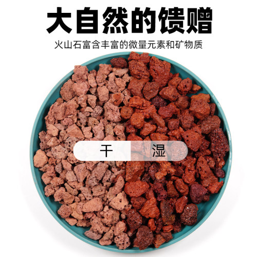 天然火山石红火山岩黑火山石造景多肉兰花石专用营养土铺面包上楼 - 图1