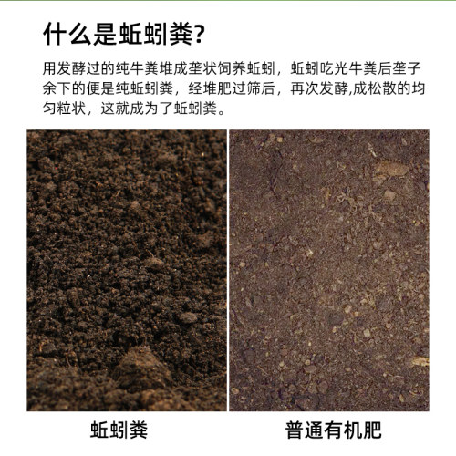 纯蚯蚓粪天然有机肥发酵养花肥料便家庭营养土通用型种菜羊粪鸡粪 - 图0
