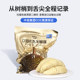 Shiboshi Malaysia Golden Phoenix Durian