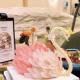 Three-dimensional swan neck white swan cake decoration