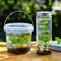 Eco Bottle DIY Small Fish Hand Plastic Microscape Fresh Water Cold Water To Watch Fish Shrimp Real