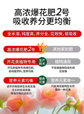 高浓爆花肥2号高磷高钾促花