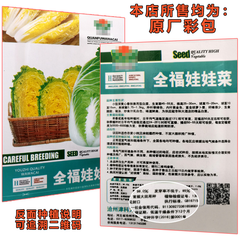 四季蔬菜种子适合秋播种植青菜生菜香菜菠菜萝卜阳台菜籽种孑大全