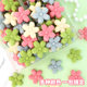 Sakura Cookies Cake Decoration Cup Dessert Decoration