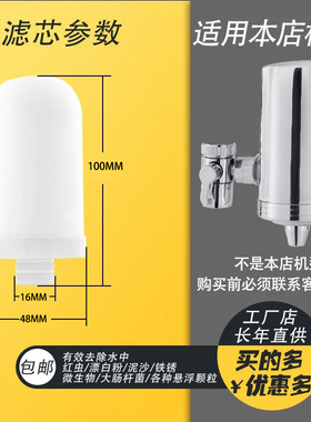 史蒂夫自来水净水器家用厨房水龙头净化出水除氯直饮陶瓷滤芯