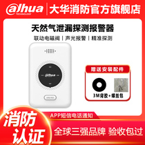 Large Bloom Gas Alarm Catering Household Carbon Monoxide Gas Natural Liquefied Gas Leak Detector Kitchen