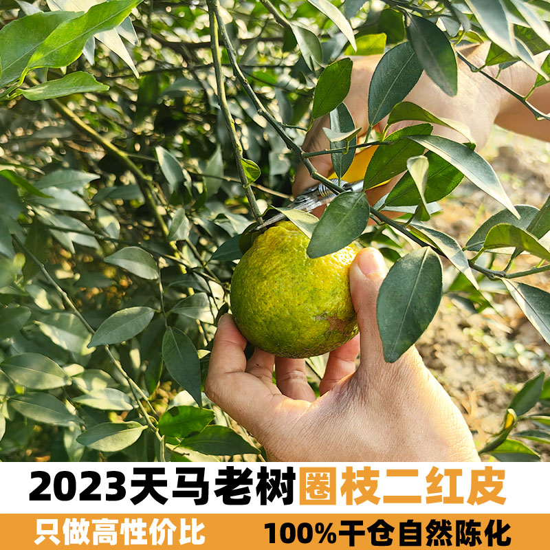 广东特产新会陈皮梅江东甲茶坑二红冬后大红干仓陈化陈皮250g果干-图3