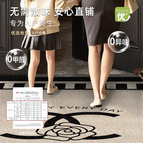 入户门地垫轻奢风进门门口耐脏免洗室内脚垫家用玄关免洗可擦地毯 - 图2