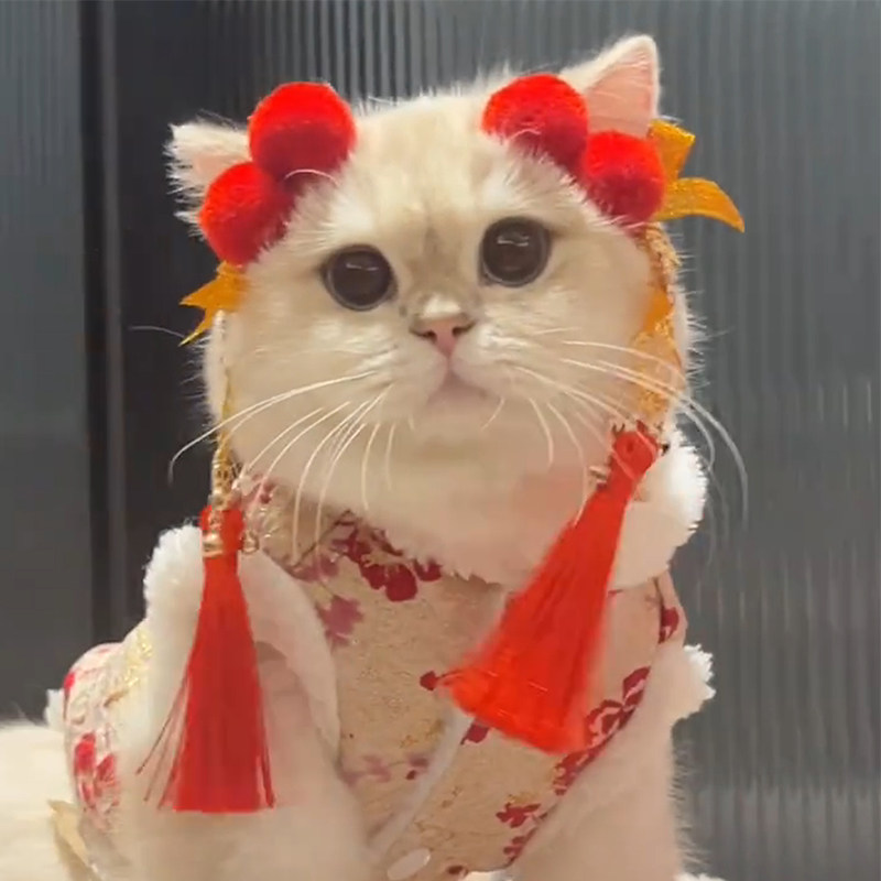 宠物发卡可爱猫咪布偶马尔济斯泰迪狗狗新年装扮品糖葫芦发夹头饰,淘宝优惠券,粉丝福利购,淘宝优惠卷