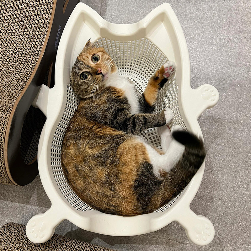 洗菜篮猫窝四季通用夏季透气猫床猫咪睡觉垫子创意宠物窝2025新款,淘宝优惠券,粉丝福利购,淘宝优惠卷