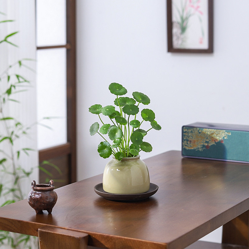 铜钱草盆栽小绿植客厅茶桌办公室桌面金钱草水培植物招财摆件好养,淘宝优惠券,粉丝福利购,淘宝优惠卷