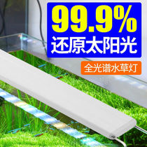 Menworm Explosion Algae Light Fish Tank Out of Tweed Professional gold fish tank LED light waterproof floodlight to admire UV lamp