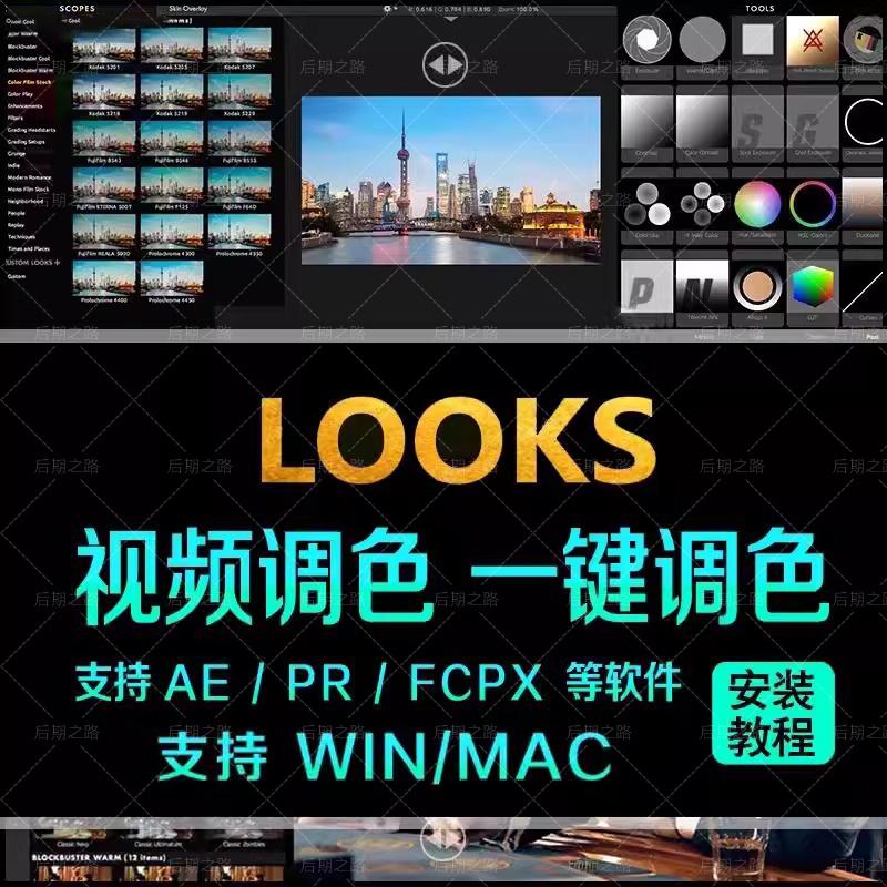AE/PR插件looks调色视频预设汉化Magic Bullet滤镜素材2025winmac - 图0
