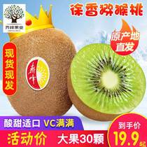 Qifeng Shaanxi Eyebrow County Xu Fragrant Green Heart Kiwifruit 5 Catty Fresh Chic Exotic Fruits Now Off Should Season Fruit Spot