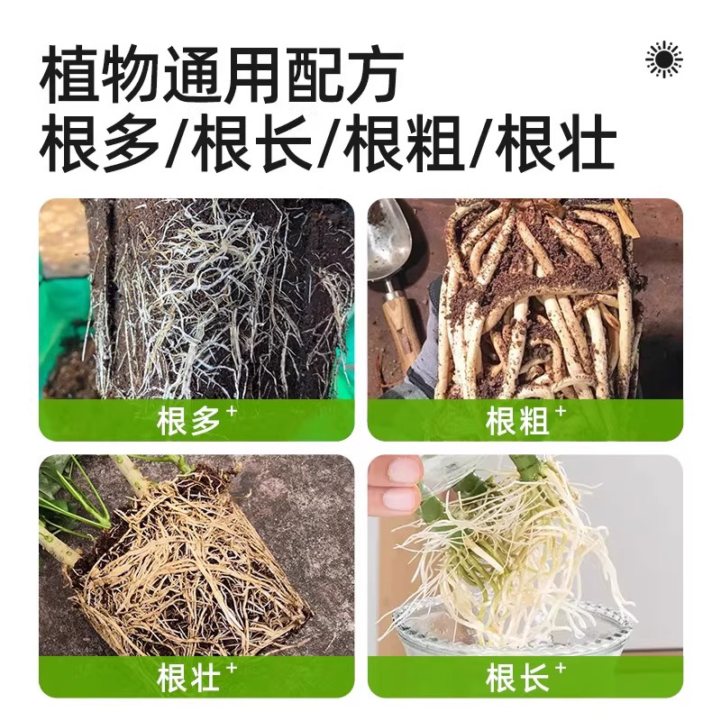 多肉生根粉专用快速生根植物发根剂通用型扦插移栽修根促根,淘宝优惠券,粉丝福利购,淘宝优惠卷