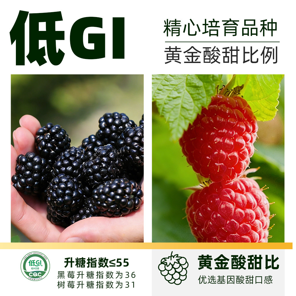 【酸甜口感】怡颗莓云南蓝莓应季新鲜水果中果125g*6盒乐