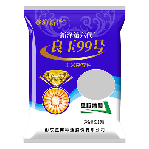 高产玉米种子登海良玉99第六代抗旱耐涝耐高温抗倒伏红轴脱水快 - 图3