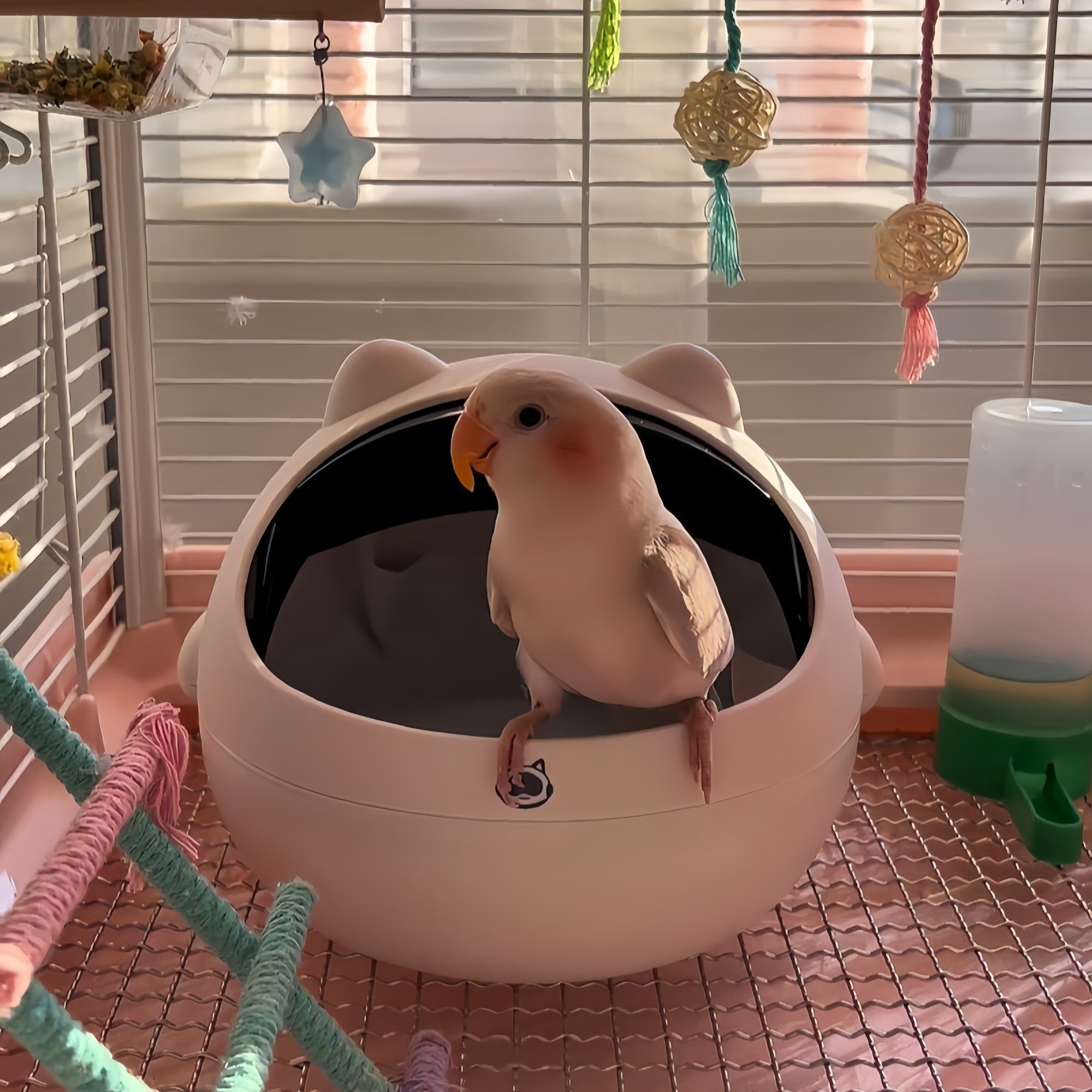 宠物鸟窝四季通用窝桌面垃圾桶高颜值迷你家用小号带盖垃圾篓ins,淘宝优惠券,粉丝福利购,淘宝优惠卷