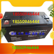 Trirui Accumulators 12v65AH Valve Control Seal 6FM100UPS DC Screen Emergency Battery Room