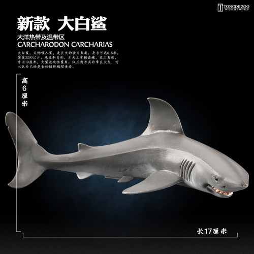 童德海洋动物模型玩具仿真生物摆件儿童益智鲨鱼鲸鱼海豚企鹅海龟 - 图0
