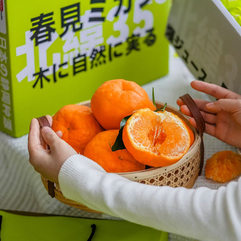 白富美春见耙耙柑7斤礼盒装日本静冈种源新鲜水果柑橘桔子丑柑甜,淘宝优惠券,粉丝福利购,淘宝优惠卷