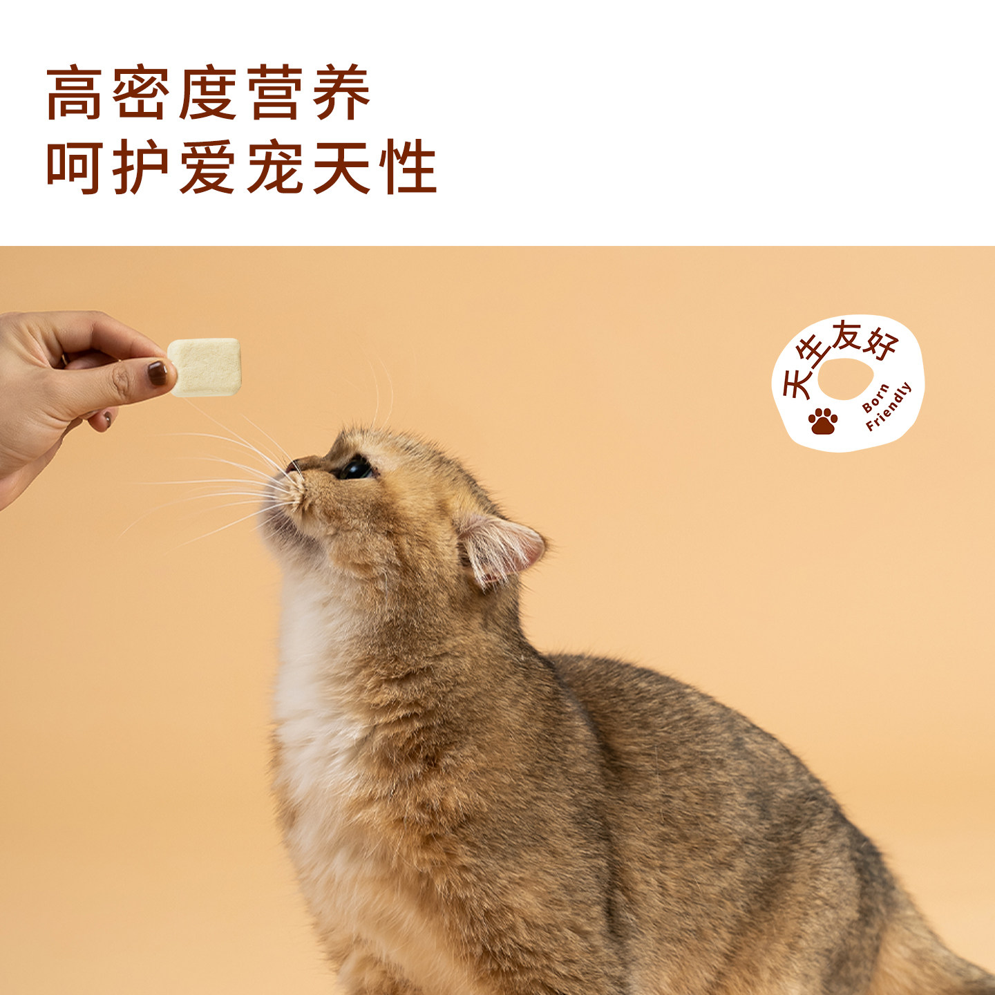 太阳家宠物零食罐冻干鸡肉羊奶块猫咪狗狗营养拌粮配餐肉奶双蛋白,淘宝优惠券,粉丝福利购,淘宝优惠卷