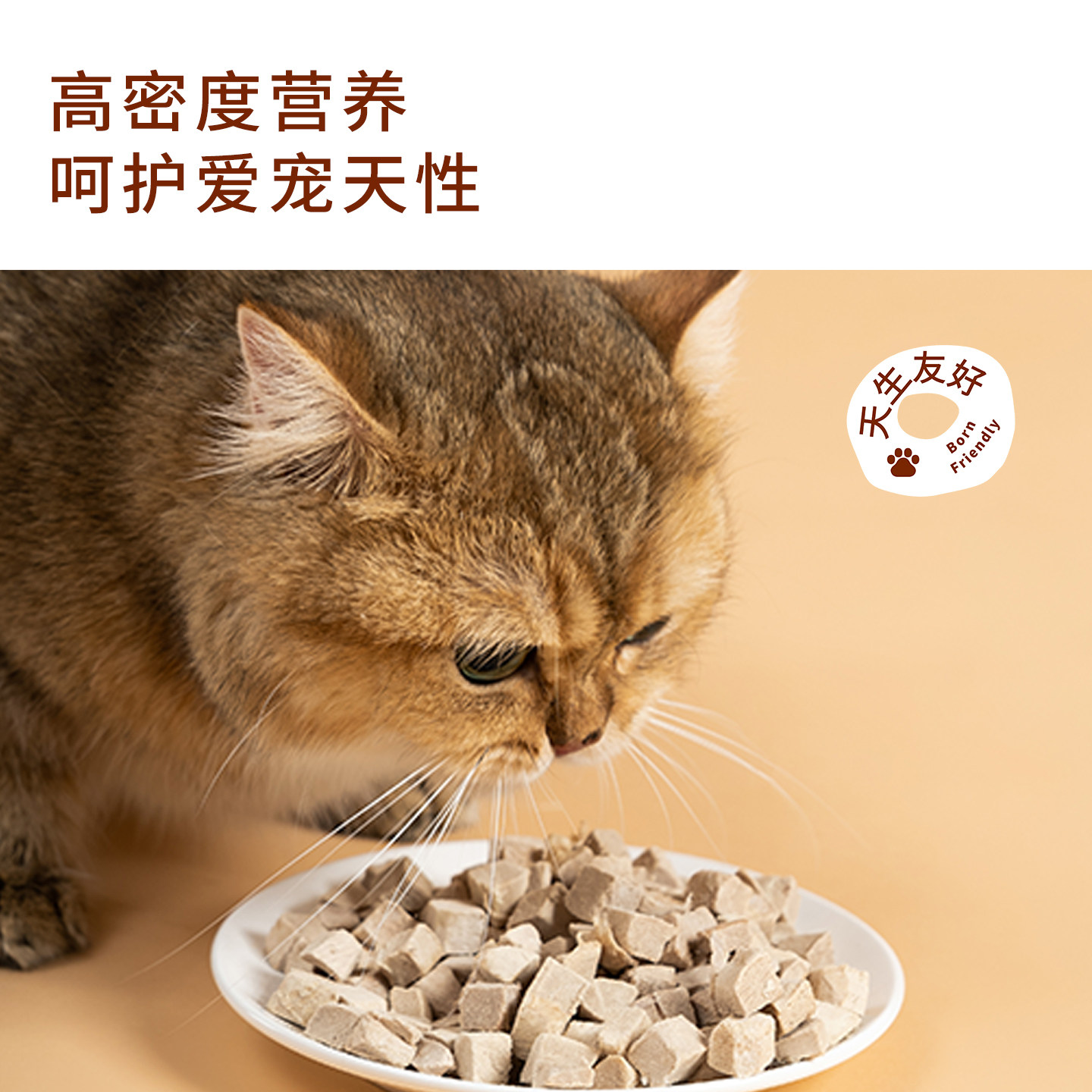 太阳家冻干鸭胸肉猫狗零食鸭肉粒猫咪营养磨牙宠物拌饭辅食冻干桶,淘宝优惠券,粉丝福利购,淘宝优惠卷