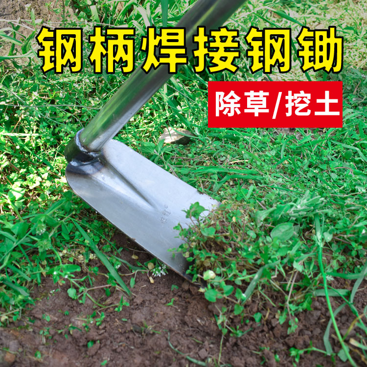 农用锄头家用种菜挖笋专用挖地锄草高碳钢锰钢除草开山松挖土农具 - 图0