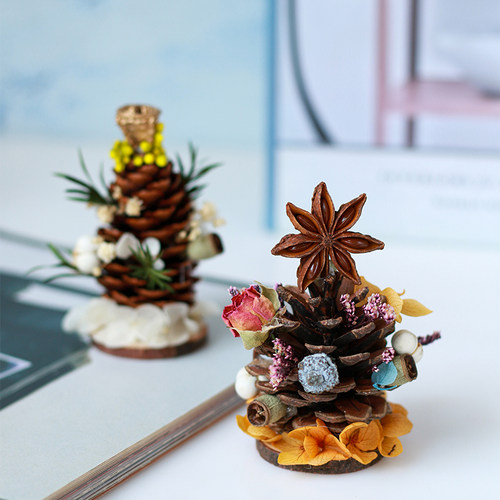 干果干花diy材料包手工制作圣诞装饰天然植物混合松果肉桂树叶 - 图0