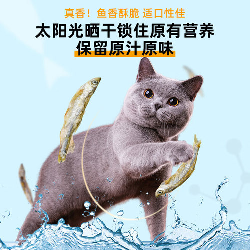 小鱼干小河鱼干猫咪零食宠物磨牙淡水猫吃的小鱼干拌猫粮营养鱼干 - 图2