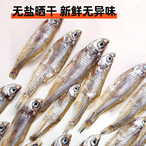 小鱼干小河鱼干猫咪零食宠物磨牙淡水猫吃的小鱼干拌猫粮营养鱼干 - 图3
