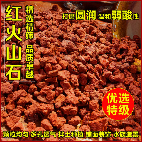 天然火山岩红火山石多肉种植颗粒兰花种植铺面鱼缸垫底花卉料铺面 - 图0