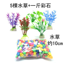 Fish tank Utortoise cylinder Water family building View small fish tank building decoration Imitation Fake Water Grass Color Stone Rawstone Plan