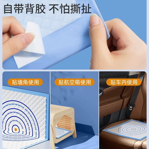 Собачья моча можно встать на фиксированное руководство по точке тренировок туалета, чтобы направлять кишечник и кишечную кошку кошачья кошка с утолщенной водой поглощение водой