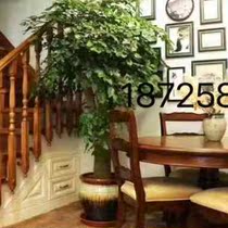 Body whole Cosmetic Solid Terraced Wood Indoor Villa Body Stairs Real Installed Wood Ando Pedal Main Home Material Stairs Armrests