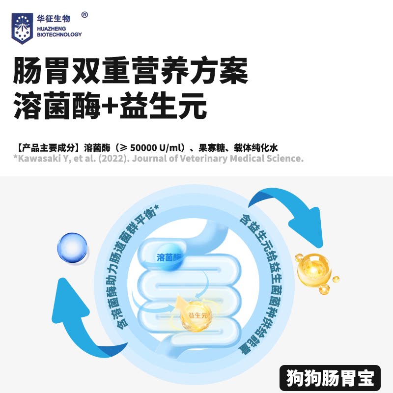 图 2