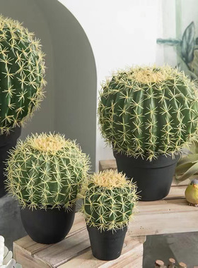 新仿真仙人球多肉热带植物盆景室内家居摆件绿植盆栽仿真绿植盆景